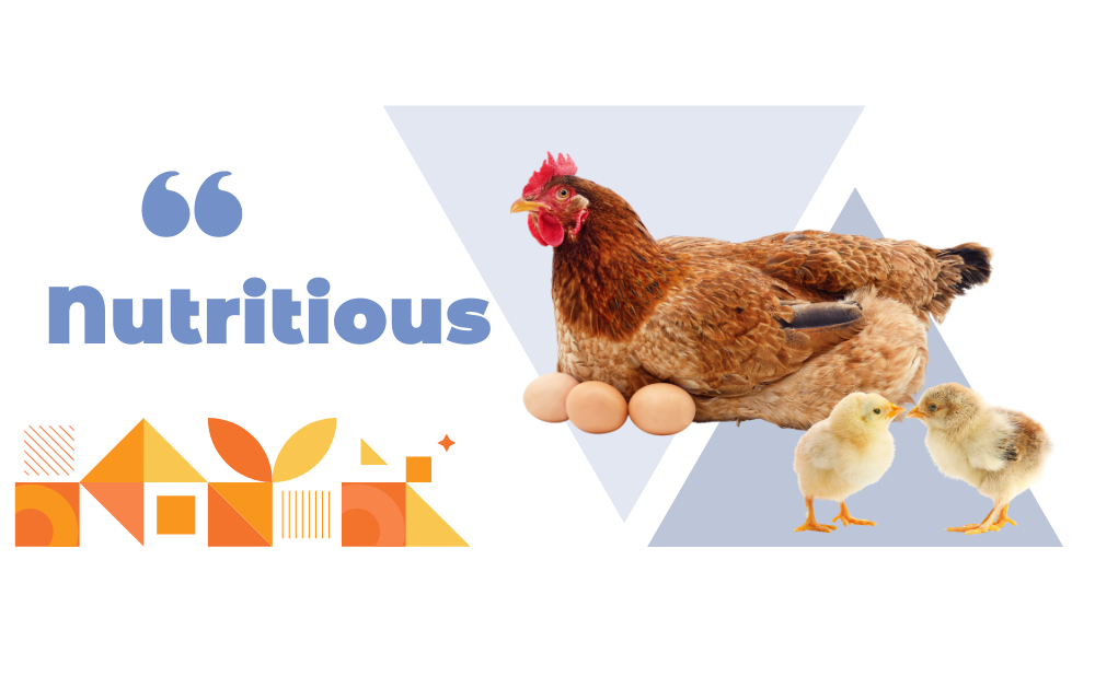 Poultry Additives & Concentrates